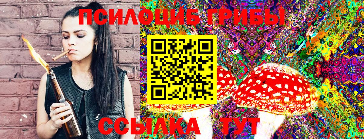 Псилоцибиновые грибы Magic Shrooms Выборг