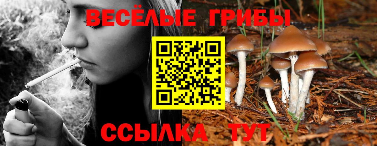 Галлюциногенные грибы ЛСД  Вход с VPN  Выборг  Псилоцибиновые грибы GOLDEN TEACHER 
